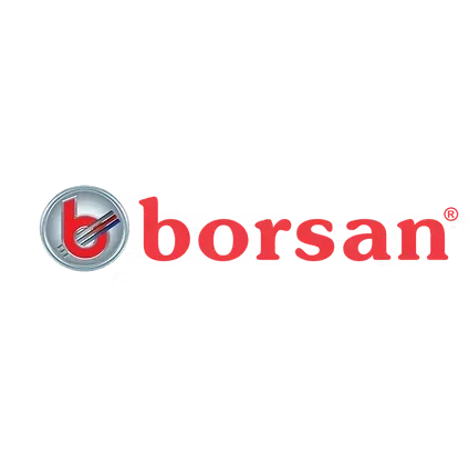 Borsan DlcVtoua brand logo — PRactice client reference